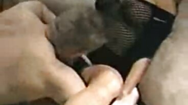 فلم کی طرف سے درمیانے سائز کی چھاتی کے ساتھ ماسٹر امام دوبارہ