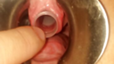 دنیا بھر کےٹینڈرز اور ہینڈل کے ساتھ منظر خوبصورت Kinsle این